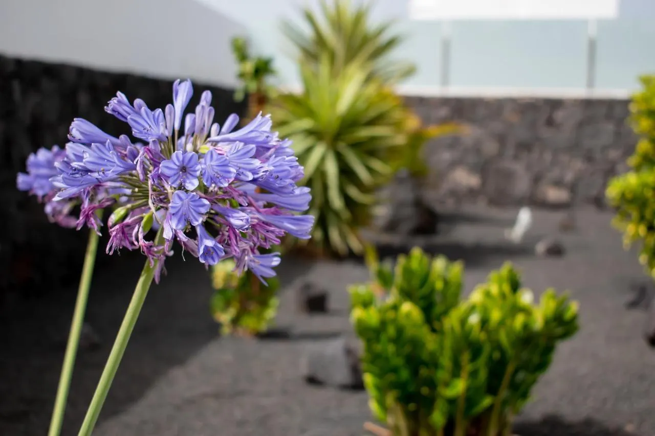 Villas Maribel Pocillos Puerto del Carmen  Puerto del Carmen (Lanzarote)